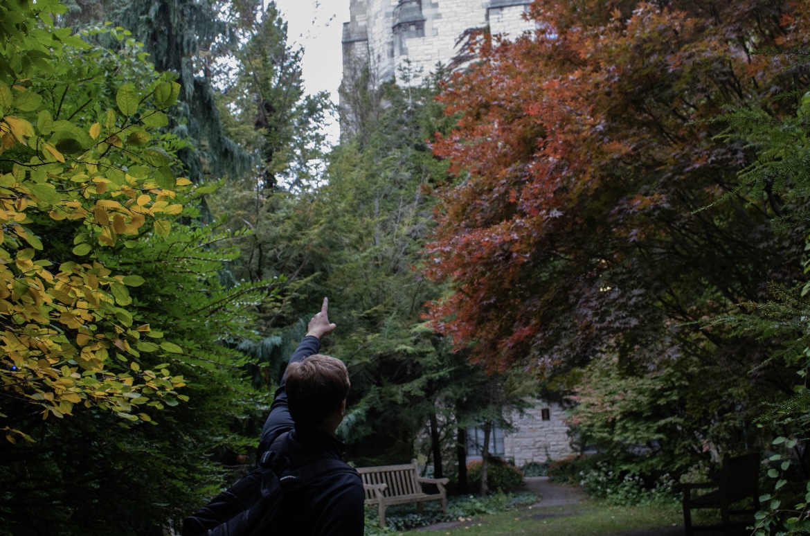 Image of the campus of Northwestern University