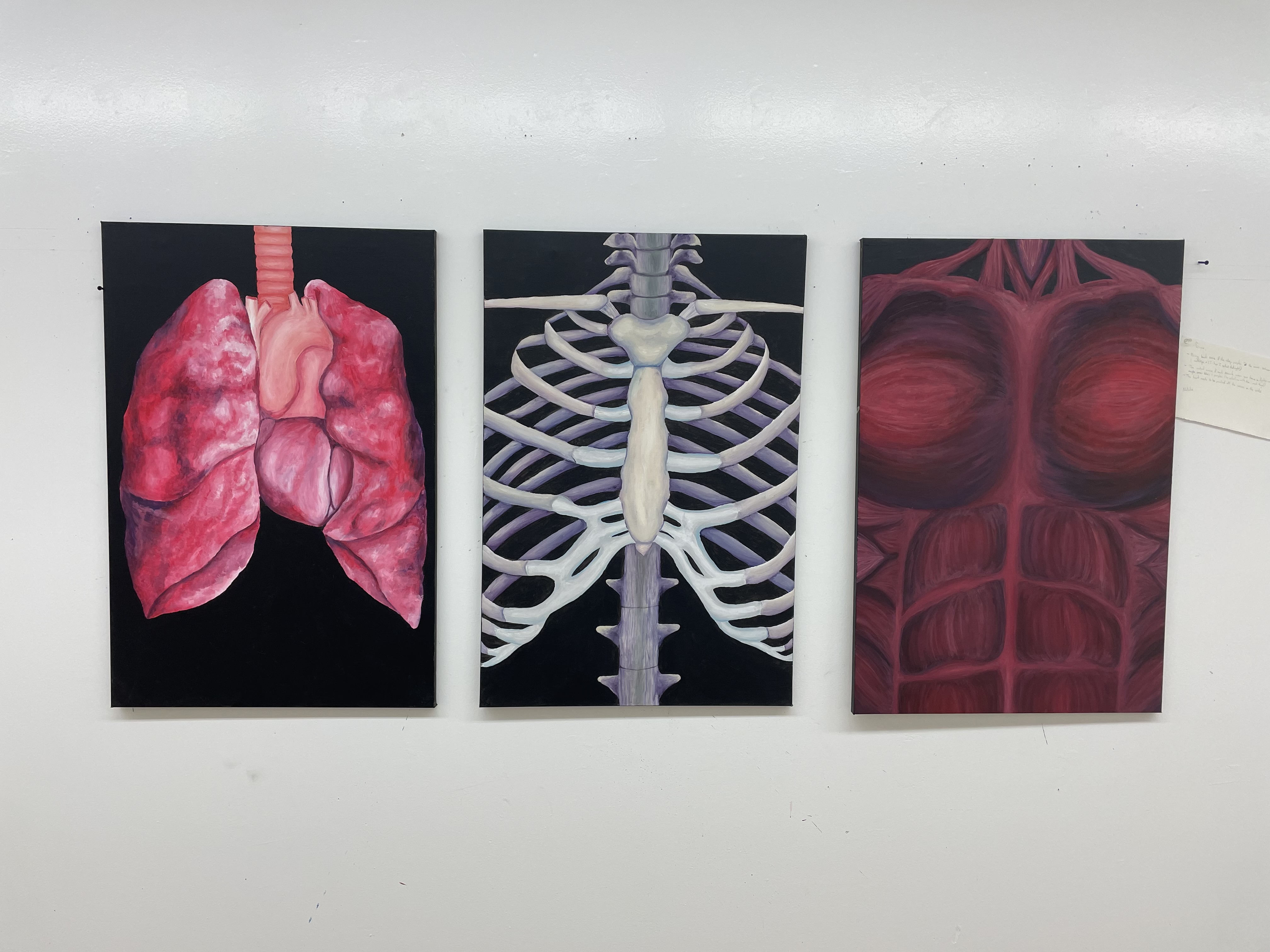 A set of three paintings, one of lungs, one of muscles, and one of ribs