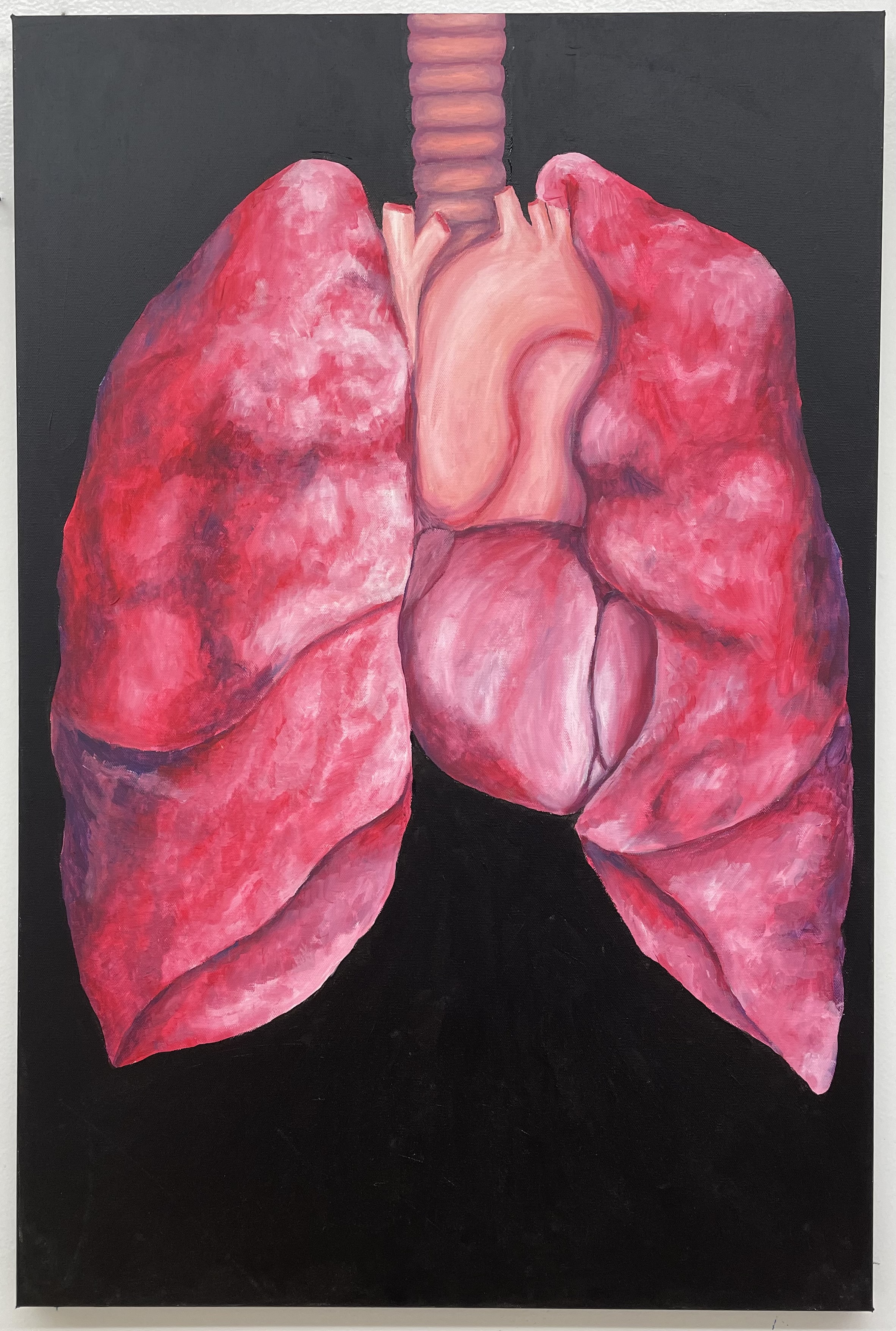 A painting of lungs